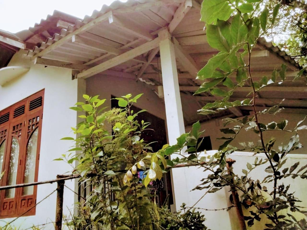 Ella Mount Villa Екстериор снимка